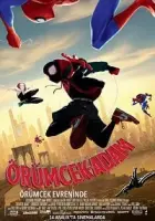 Örümcek Adam: Örümcek Evreninde 2018 Poster