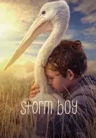 Fırtına Çocuk 2019 Poster