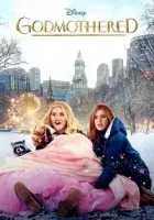 Acemi Peri 2020 Poster