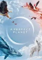A Perfect Planet 2021 Poster