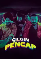 Çılgın Pencap 2024 Poster
