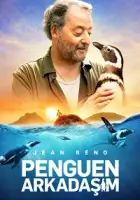 Penguen Arkadaşım 2024 Poster
