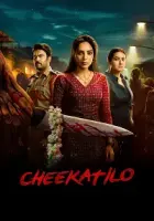 Karanlıkta 2026 Poster