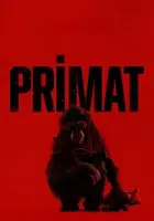 Primat 2025 Poster