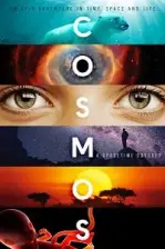 Cosmos (2014)