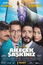 Ailecek Şaşkınız (2018)