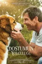 Dostumun Yolculuğu (2019)