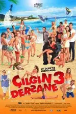 Çılgın Dersane 3 (2014)
