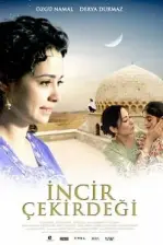 İncir Çekirdeği (2009)