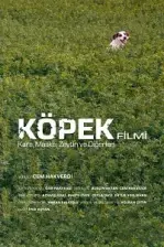 Köpek Filmi (2019)