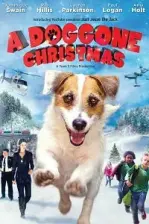 Muhteşem Köpek (2016)