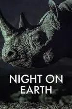 Night on Earth (2020)