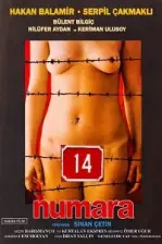 14 Numara (1985)