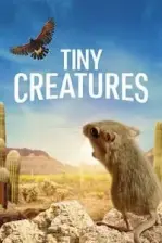 Tiny Creatures (2020)