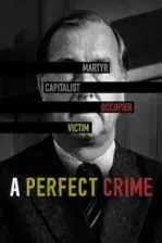 A Perfect Crime (2020)
