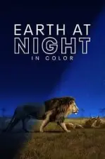 Earth at Night in Color (2020)