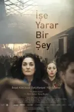 İşe Yarar Bir Şey (2017)