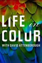 Life in Colour (2021)