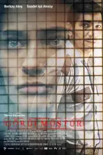 Görülmüştür (2019)