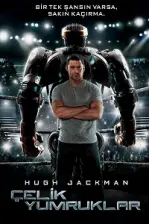 Çelik Yumruklar (2011)