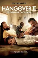 Felekten Bir Gece 2 (2011)
