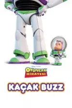 Kaçak Buzz (2011)