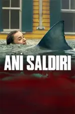 Ani Saldırı (2026)