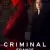 Criminal: France Small Poster