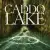 Caddo Lake Small Poster