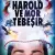 Harold ve Mor Tebeşir Small Poster