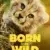 Born to Be Wild 1. Sezon 1. Bölüm Small Poster