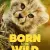 Born to Be Wild Small Poster